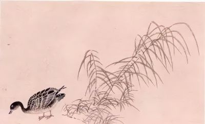 教程 | 各种工笔禽鸟的画法 - 图画吧TUHUABA