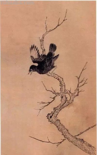 教程 | 各种工笔禽鸟的画法 - 图画吧TUHUABA