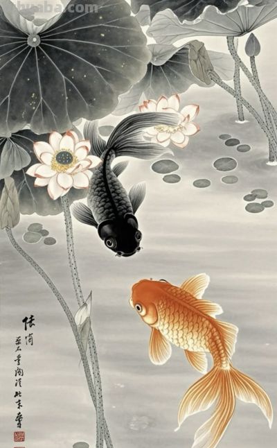 一组金鱼绘画素材（含高清线稿图），寓意年年有余，金鱼满堂！ - 图画吧TUHUABA