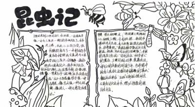 品读《昆虫记》 探秘昆虫世界｜八年级手抄报活动 - 图画吧TUHUABA