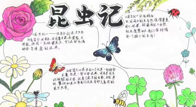 品读《昆虫记》 探秘昆虫世界｜八年级手抄报活动 - 图画吧TUHUABA