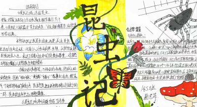 品读《昆虫记》 探秘昆虫世界｜八年级手抄报活动 - 图画吧TUHUABA