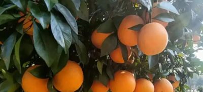 绝美!10句极致「色彩」古诗词,古人配色,惊艳千年 - 今日头条 绝美!10句极致「色彩」古诗词,古人配色,惊艳千年 - 图画吧TUHUABA