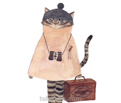 插画师推荐65｜Mari Ichimasu 旅行猫系列 - 图画吧TUHUABA