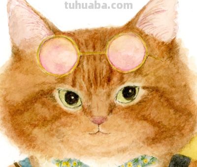 插画师推荐65｜Mari Ichimasu 旅行猫系列 - 图画吧TUHUABA