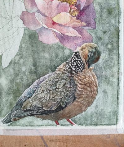 水彩花鸟 - 图画吧TUHUABA