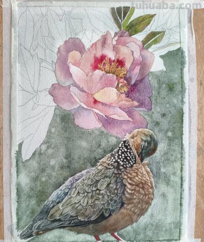 水彩花鸟 - 图画吧TUHUABA