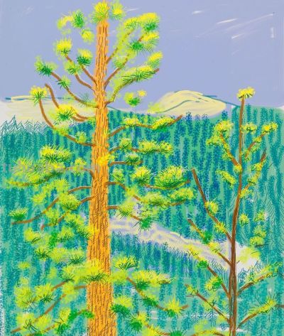 18幅 大卫·霍克尼作品 - 图画吧TUHUABA
