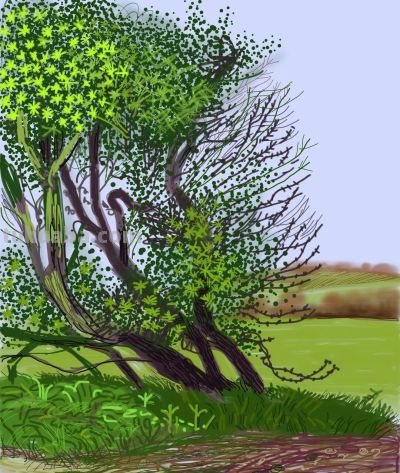 18幅 大卫·霍克尼作品 - 图画吧TUHUABA