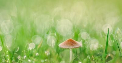 拍照模糊怎么解决？单点对焦、连续对焦、手动对焦使用技巧全解 - 图画吧TUHUABA
