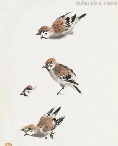 画花鸟，学会了这组禽鸟就够了 - 图画吧TUHUABA