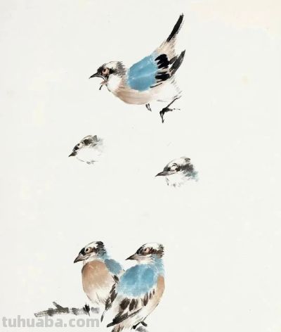 画花鸟，学会了这组禽鸟就够了 - 图画吧TUHUABA