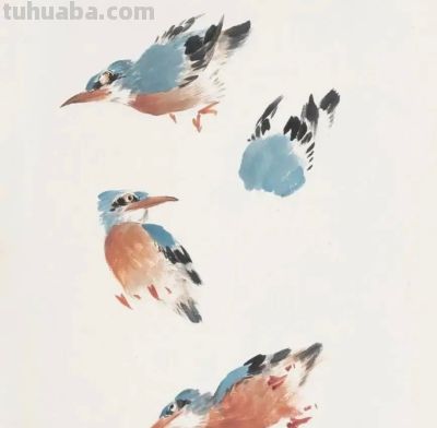 画花鸟，学会了这组禽鸟就够了 - 图画吧TUHUABA