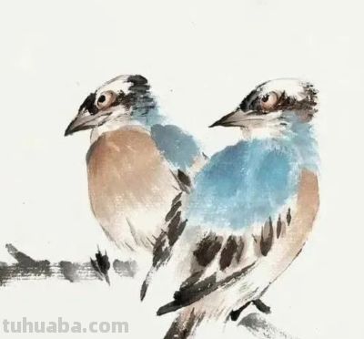 画花鸟，学会了这组禽鸟就够了 - 图画吧TUHUABA