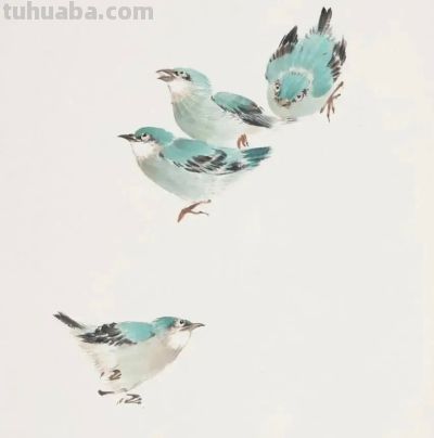 画花鸟，学会了这组禽鸟就够了 - 图画吧TUHUABA