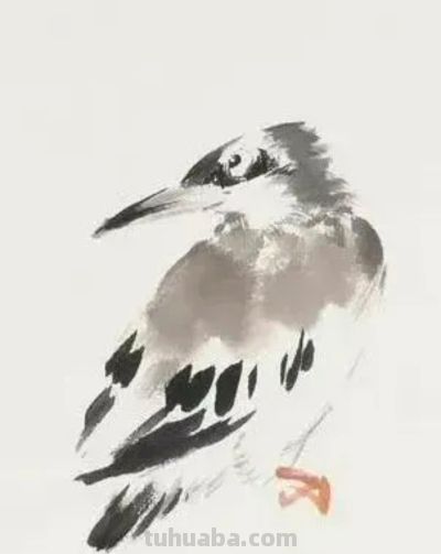 画花鸟，学会了这组禽鸟就够了 - 图画吧TUHUABA