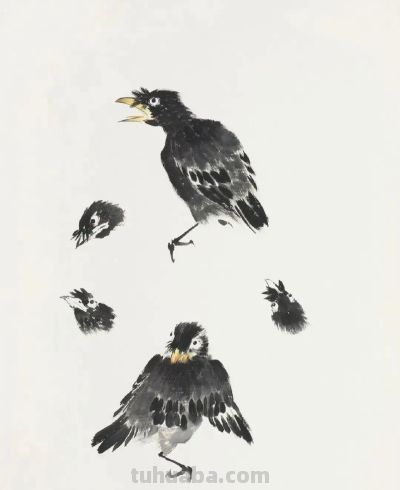 画花鸟，学会了这组禽鸟就够了 - 图画吧TUHUABA