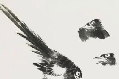 画花鸟，学会了这组禽鸟就够了 - 图画吧TUHUABA