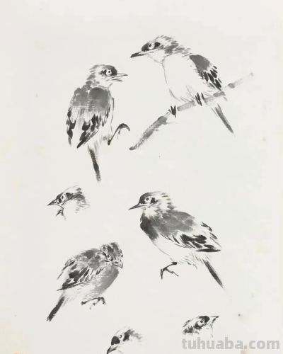 画花鸟，学会了这组禽鸟就够了 - 图画吧TUHUABA