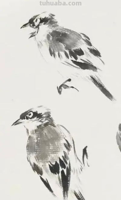 画花鸟，学会了这组禽鸟就够了 - 图画吧TUHUABA
