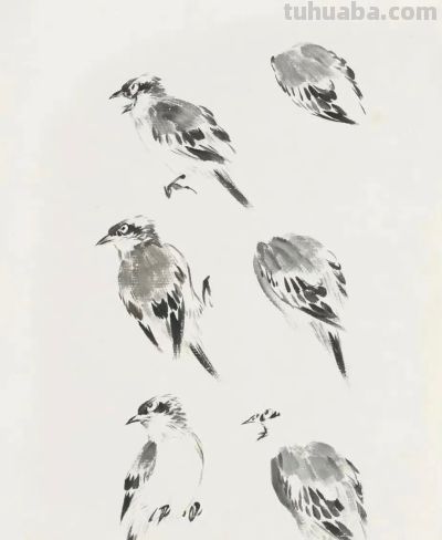 画花鸟，学会了这组禽鸟就够了 - 图画吧TUHUABA