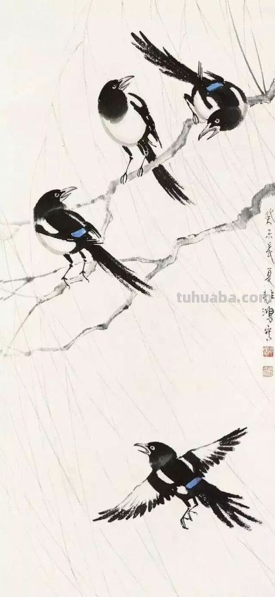 画花鸟，学会了这组禽鸟就够了 - 图画吧TUHUABA