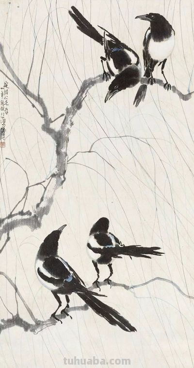 画花鸟，学会了这组禽鸟就够了 - 图画吧TUHUABA