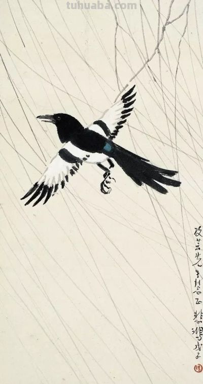 画花鸟，学会了这组禽鸟就够了 - 图画吧TUHUABA