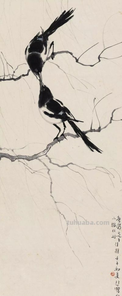 画花鸟，学会了这组禽鸟就够了 - 图画吧TUHUABA