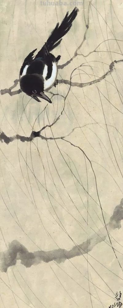 画花鸟，学会了这组禽鸟就够了 - 图画吧TUHUABA