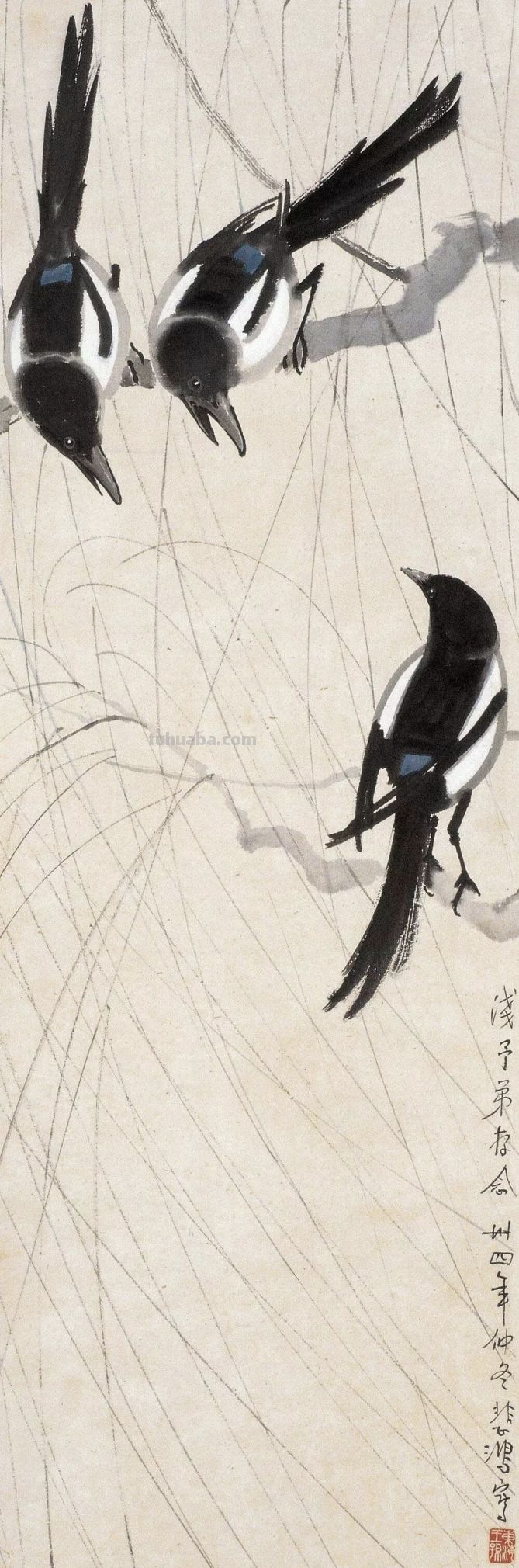 画花鸟，学会了这组禽鸟就够了 - 图画吧TUHUABA