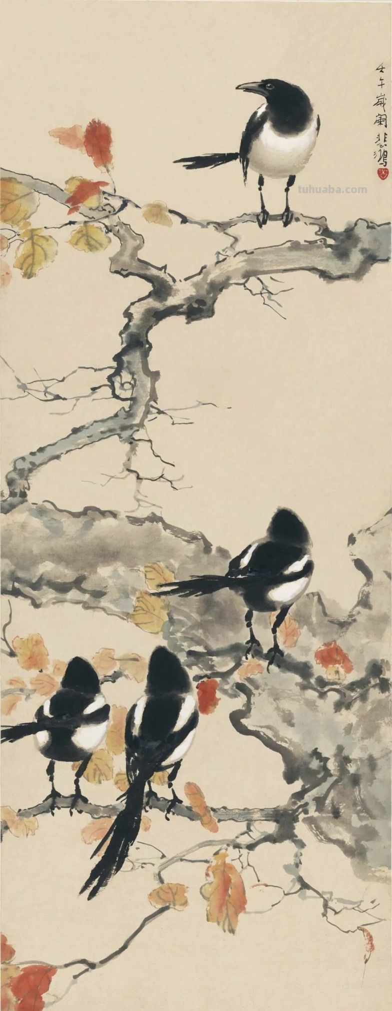 画花鸟，学会了这组禽鸟就够了 - 图画吧TUHUABA