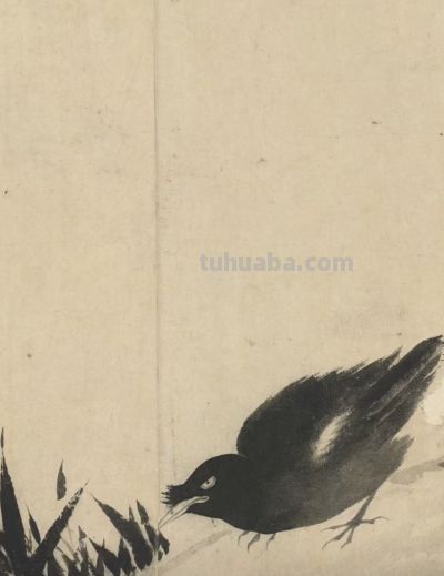 画花鸟，学会了这组禽鸟就够了 - 图画吧TUHUABA