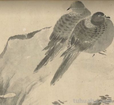 画花鸟，学会了这组禽鸟就够了 - 图画吧TUHUABA