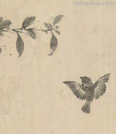 画花鸟，学会了这组禽鸟就够了 - 图画吧TUHUABA