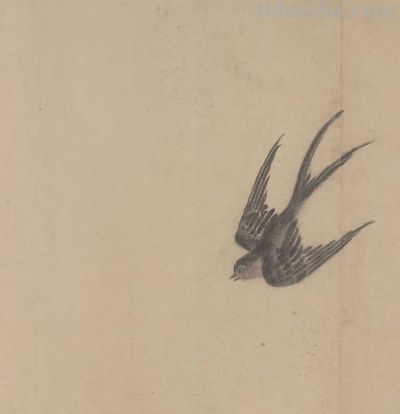 画花鸟，学会了这组禽鸟就够了 - 图画吧TUHUABA