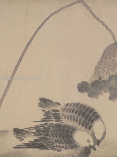 画花鸟，学会了这组禽鸟就够了 - 图画吧TUHUABA
