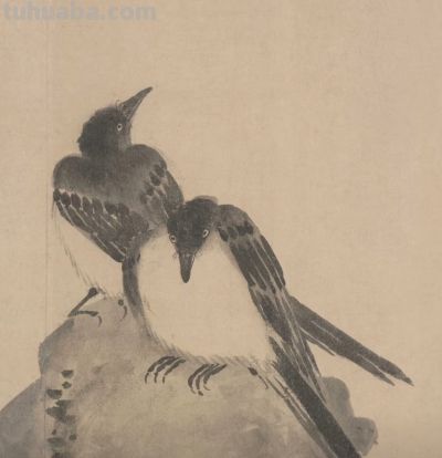 画花鸟，学会了这组禽鸟就够了 - 图画吧TUHUABA