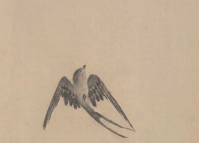 画花鸟，学会了这组禽鸟就够了 - 图画吧TUHUABA