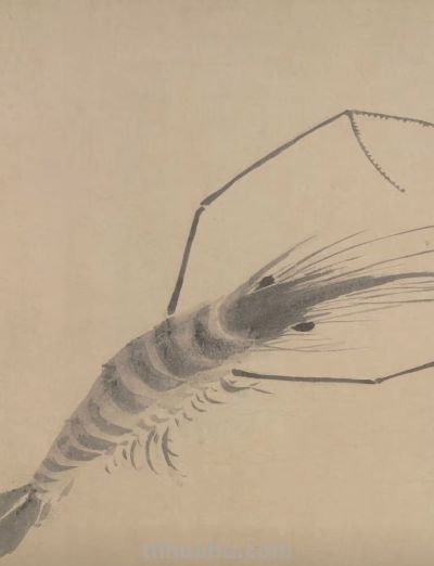 画花鸟，学会了这组禽鸟就够了 - 图画吧TUHUABA