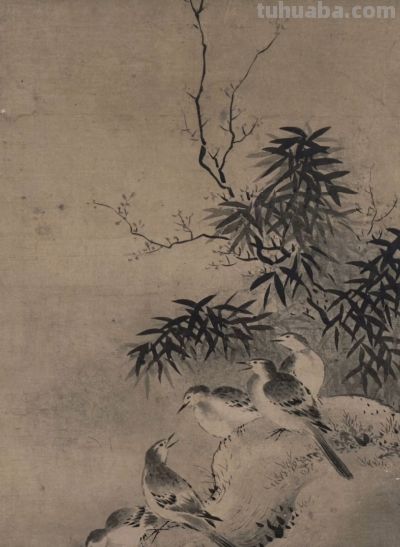 画花鸟，学会了这组禽鸟就够了 - 图画吧TUHUABA