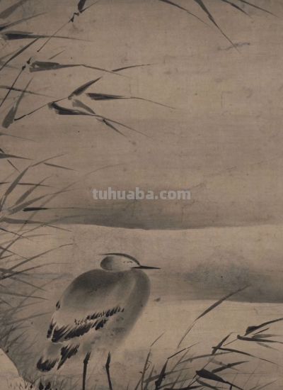 画花鸟，学会了这组禽鸟就够了 - 图画吧TUHUABA