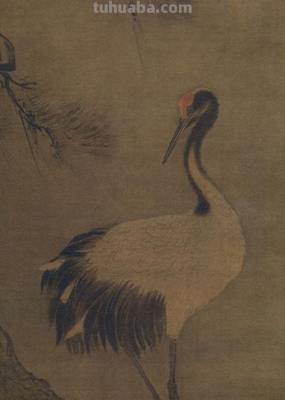 画花鸟，学会了这组禽鸟就够了 - 图画吧TUHUABA