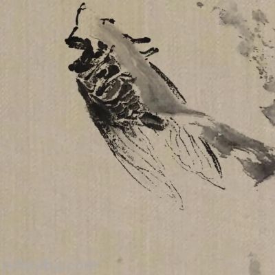 绝了！尹晓尧以墨为魂，把小昆虫画活了 - 图画吧TUHUABA