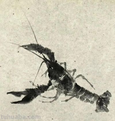 绝了！尹晓尧以墨为魂，把小昆虫画活了 - 图画吧TUHUABA