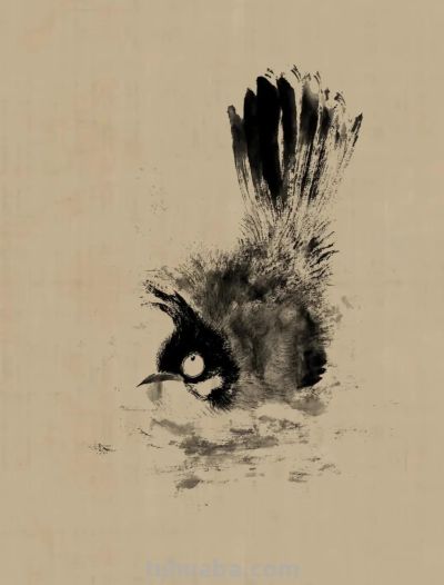 绝了！尹晓尧以墨为魂，把小昆虫画活了 - 图画吧TUHUABA