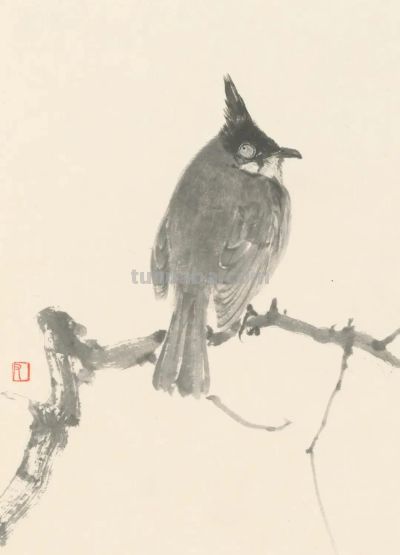 绝了！尹晓尧以墨为魂，把小昆虫画活了 - 图画吧TUHUABA