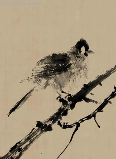 绝了！尹晓尧以墨为魂，把小昆虫画活了 - 图画吧TUHUABA