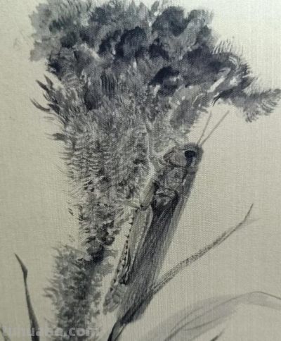 绝了！尹晓尧以墨为魂，把小昆虫画活了 - 图画吧TUHUABA