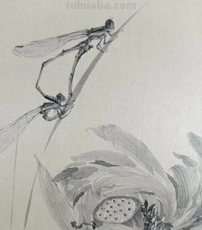 绝了！尹晓尧以墨为魂，把小昆虫画活了 - 图画吧TUHUABA
